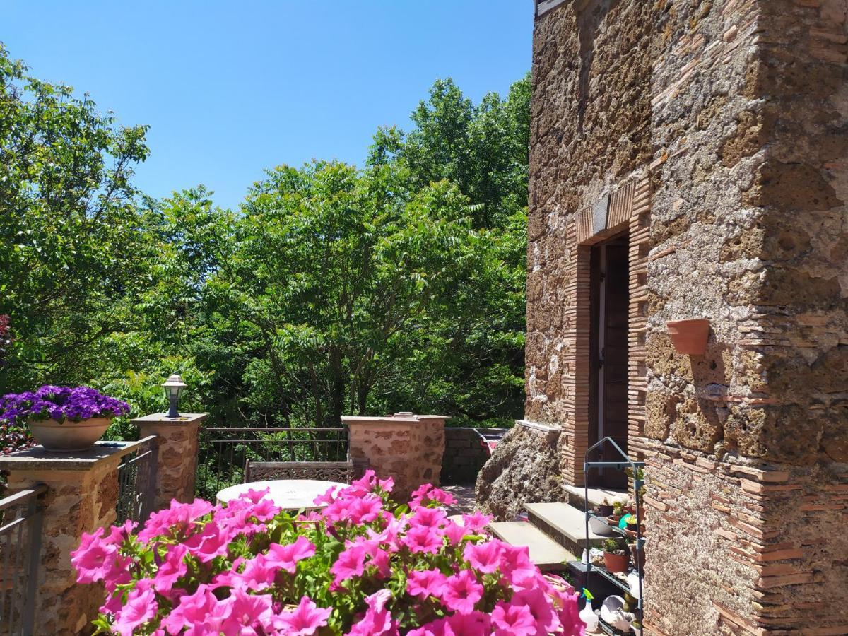 B&B Il Giardino Del Borgo Veiano Buitenkant foto