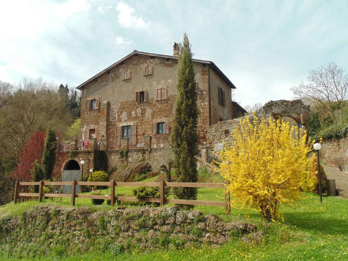 B&B Il Giardino Del Borgo Veiano Buitenkant foto